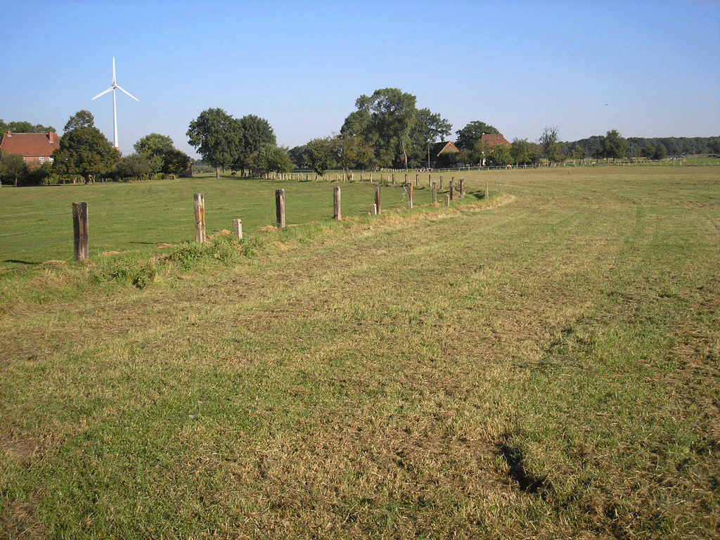 landwirtschaftlich geprägtes Gebiet