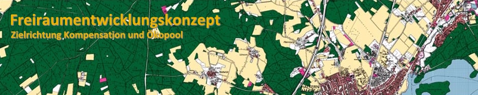 Freiraumentwicklungskonzept2020